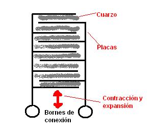 piezo5