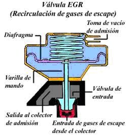 egrv1